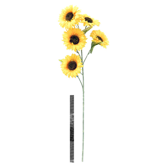 GIRASOL DE TALLO LARGO 03