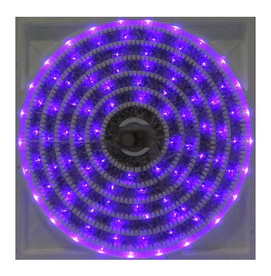 SERIE MUSICAL DE 500 LUCES LED MORADA