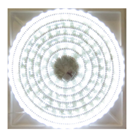 700 LED LUZ BLANCA MUSICAL 33.55MTS